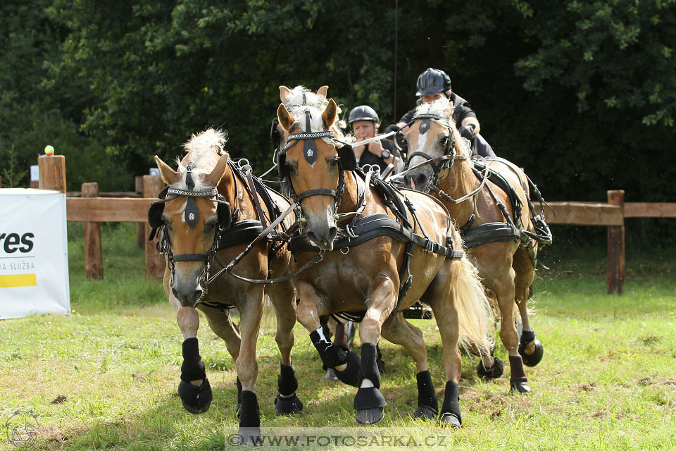 CAIO - Nebanice 2016