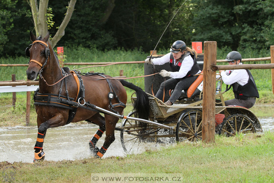 CAIO - Nebanice 2016