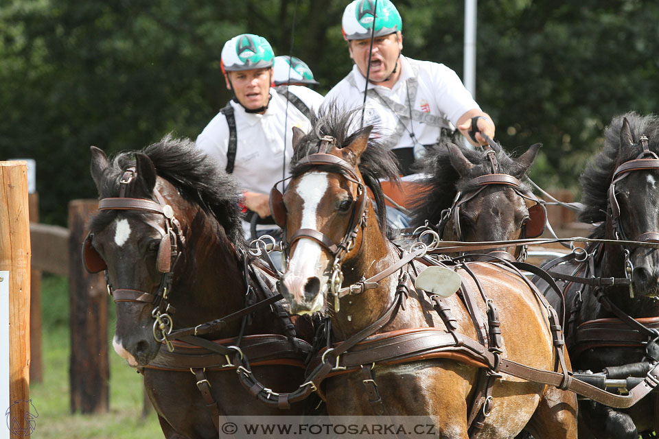 CAIO - Nebanice 2016