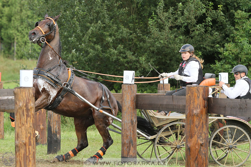 CAIO - Nebanice 2016