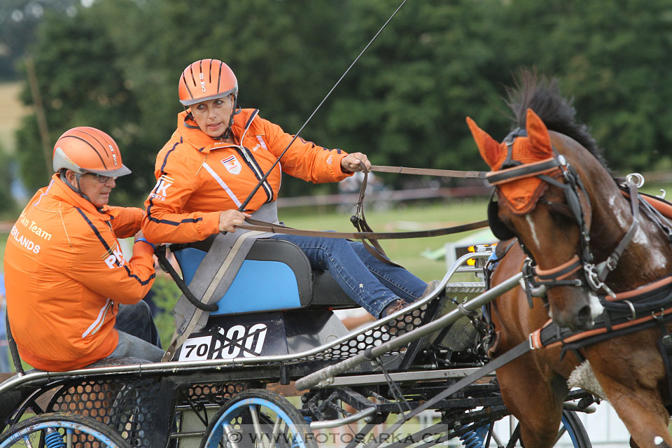 CAIO - Nebanice 2016