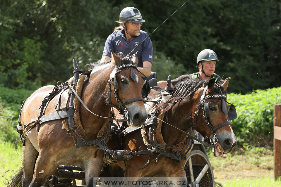 CAIO - Nebanice 2016