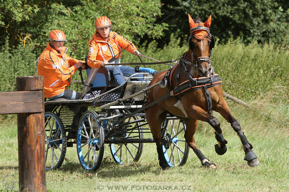 CAIO - Nebanice 2016