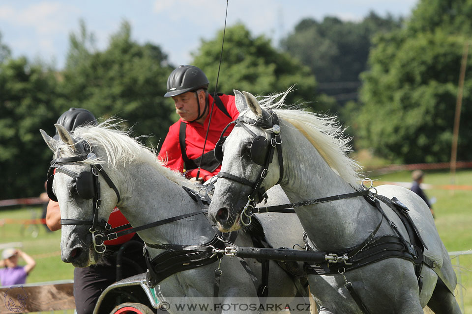 CAIO - Nebanice 2016