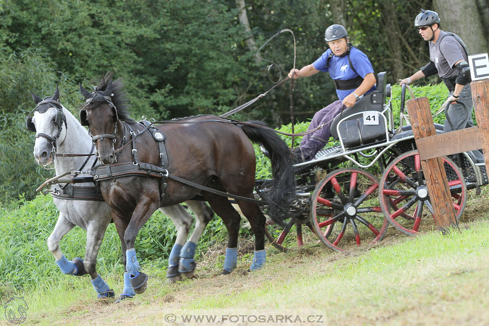 CAIO - Nebanice 2016