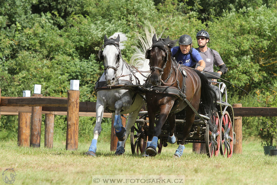 CAIO - Nebanice 2016