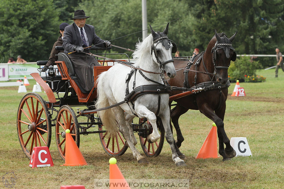CAIO - Nebanice 2016