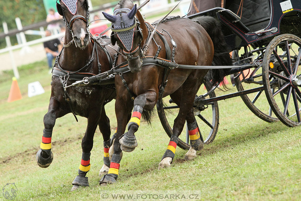 CAIO - Nebanice 2016