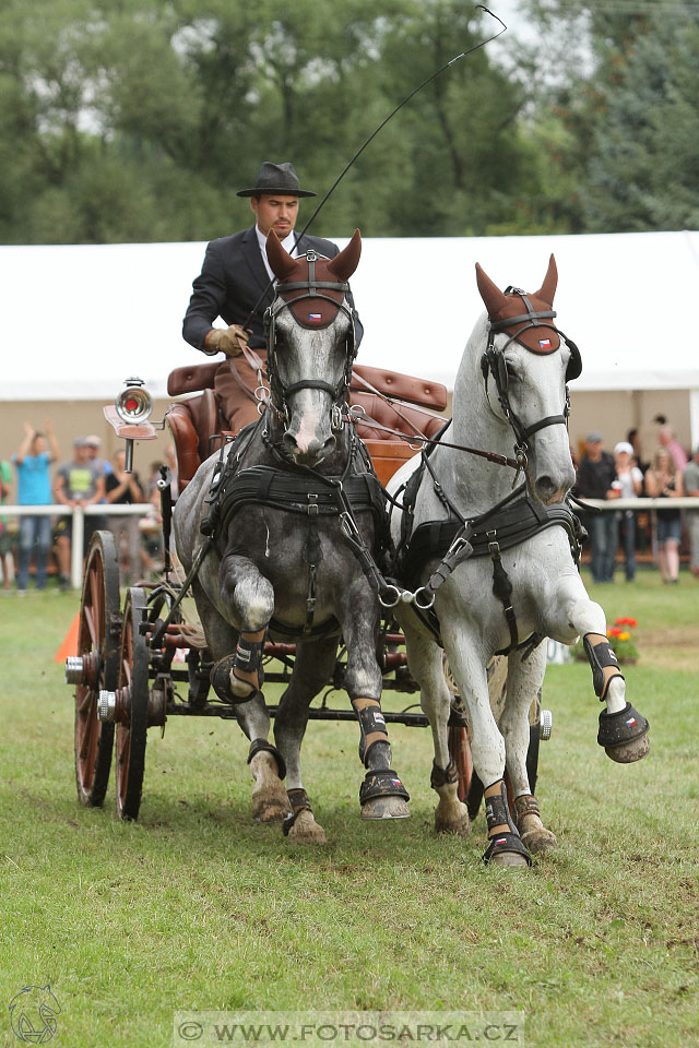 CAIO - Nebanice 2016