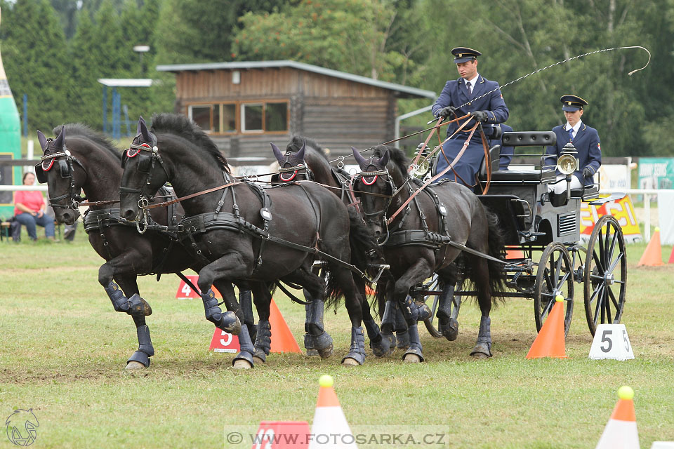 CAIO - Nebanice 2016