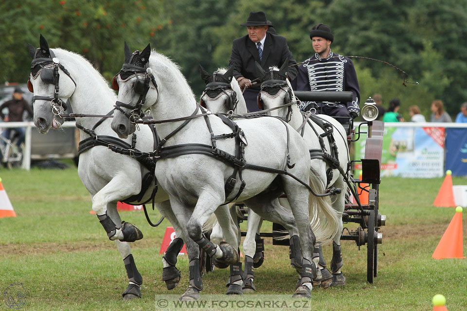 CAIO - Nebanice 2016