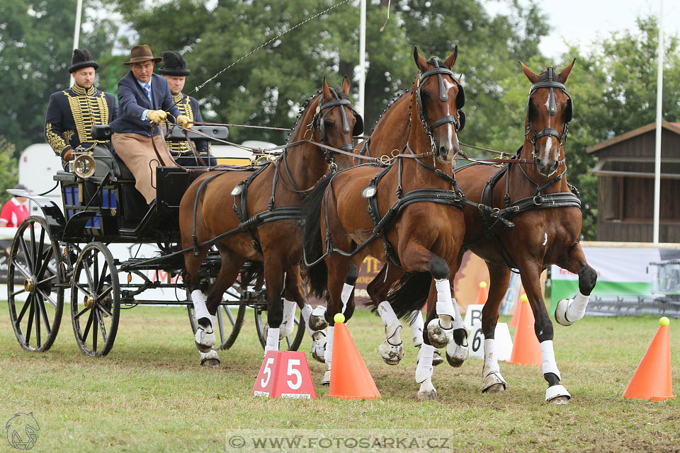 CAIO - Nebanice 2016