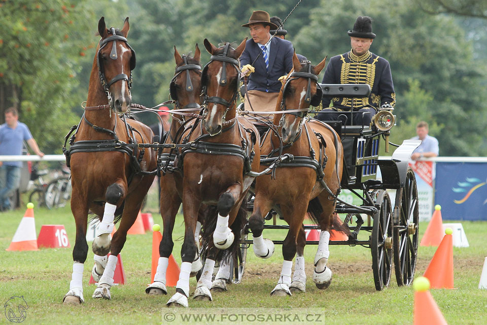 CAIO - Nebanice 2016