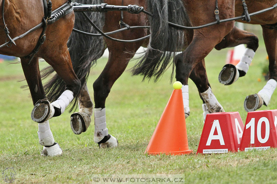 CAIO - Nebanice 2016