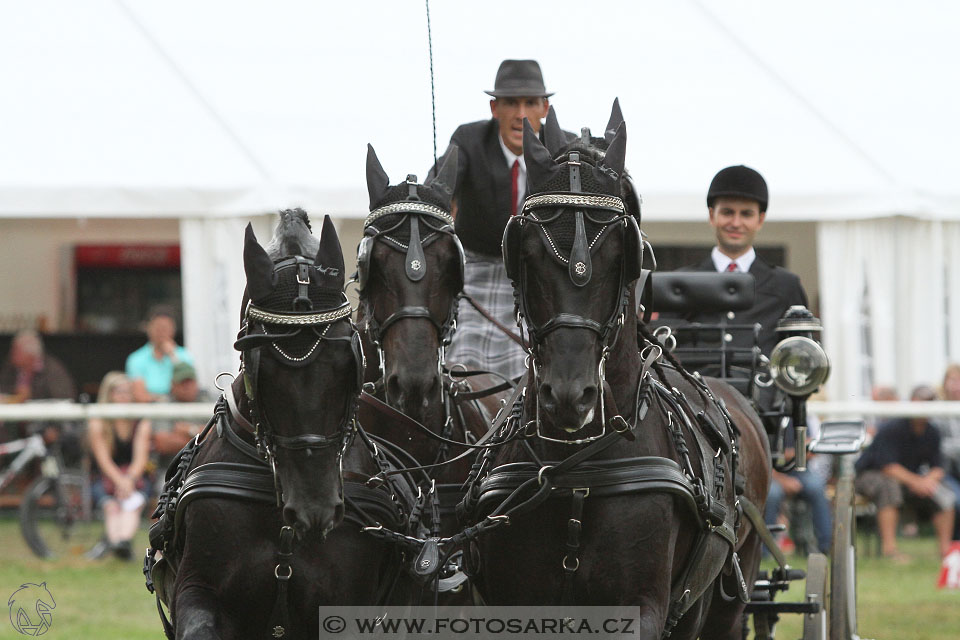 CAIO - Nebanice 2016