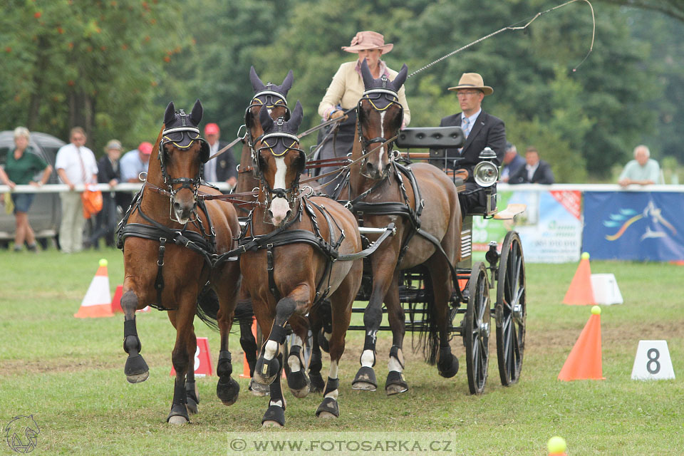 CAIO - Nebanice 2016