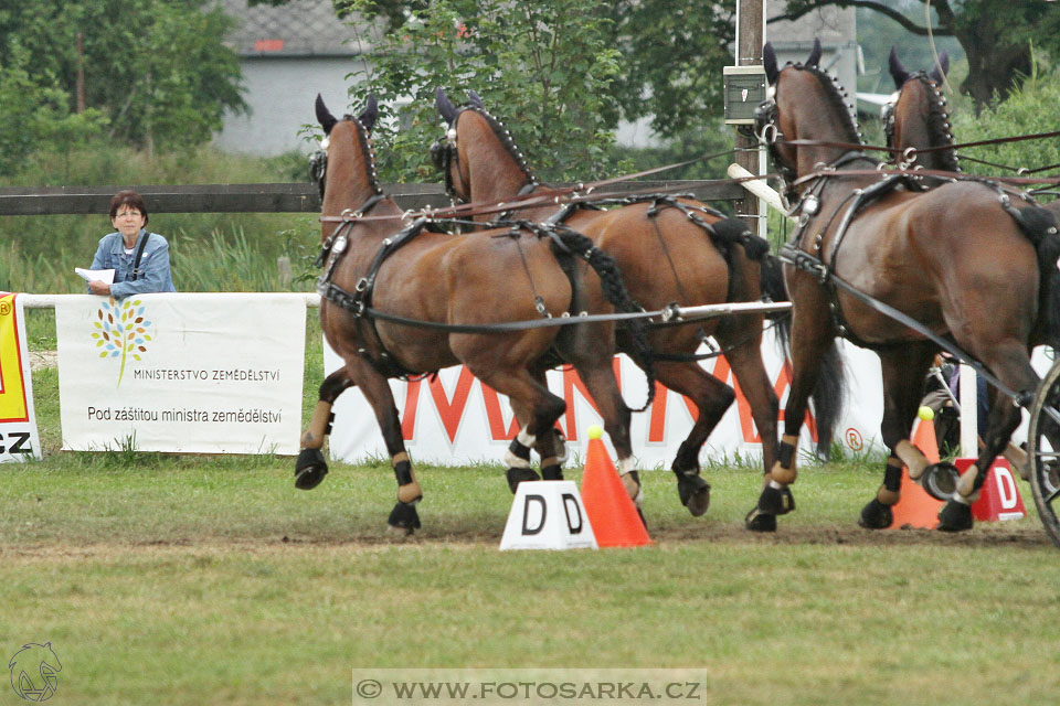 CAIO - Nebanice 2016