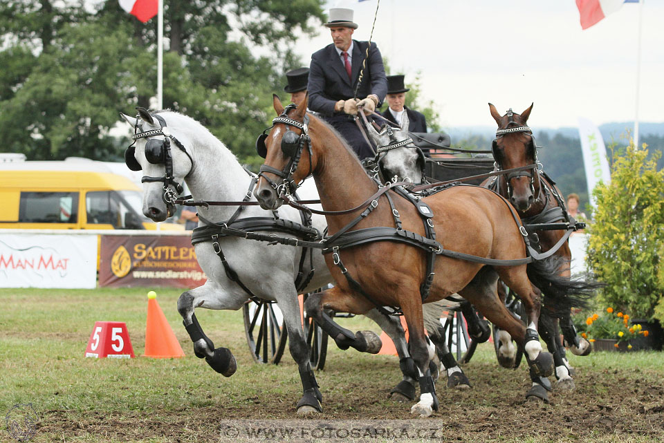 CAIO - Nebanice 2016