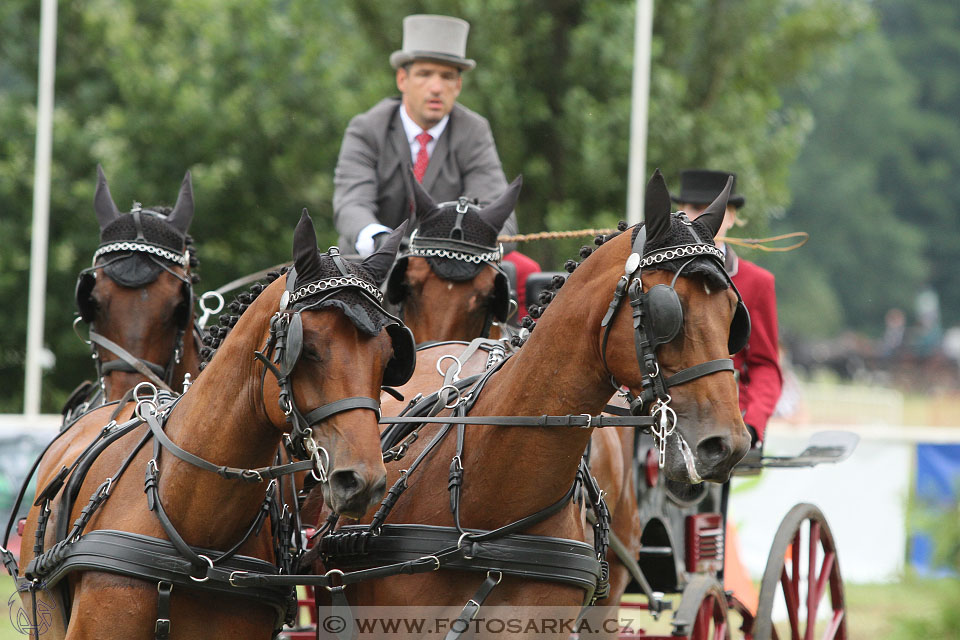 CAIO - Nebanice 2016