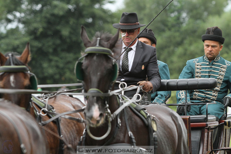 CAIO - Nebanice 2016