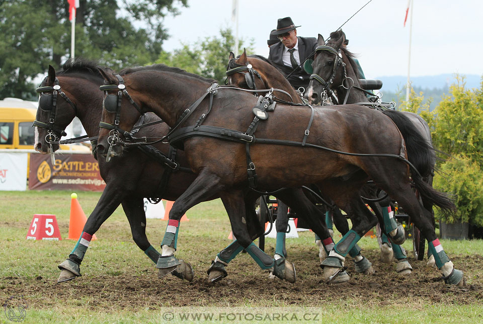 CAIO - Nebanice 2016
