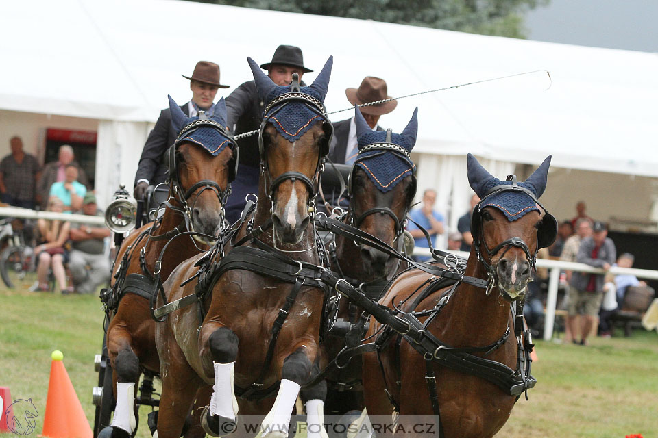 CAIO - Nebanice 2016