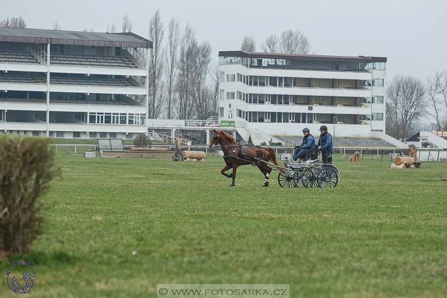 CAN 2* Pardubice - neděle