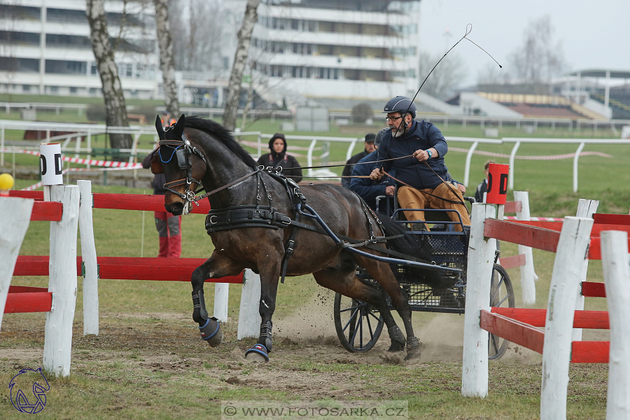 CAN 2* Pardubice - neděle