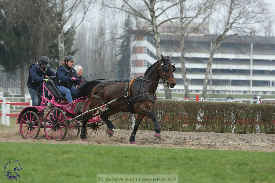 CAN 2* Pardubice - neděle