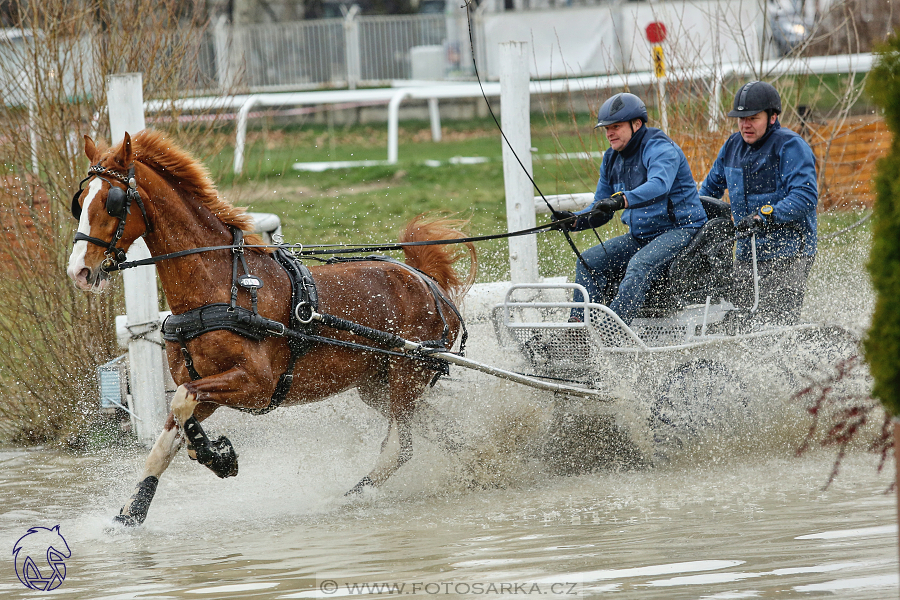 CAN 2* Pardubice - neděle