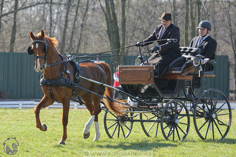 CAN 2* Pardubice - sobota