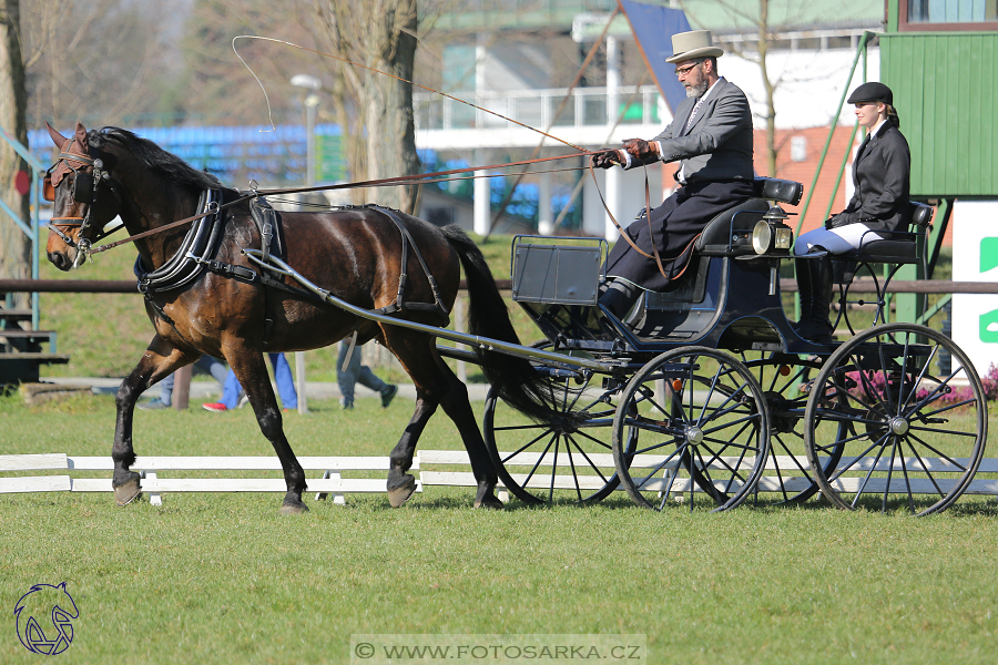 CAN 2* Pardubice - sobota