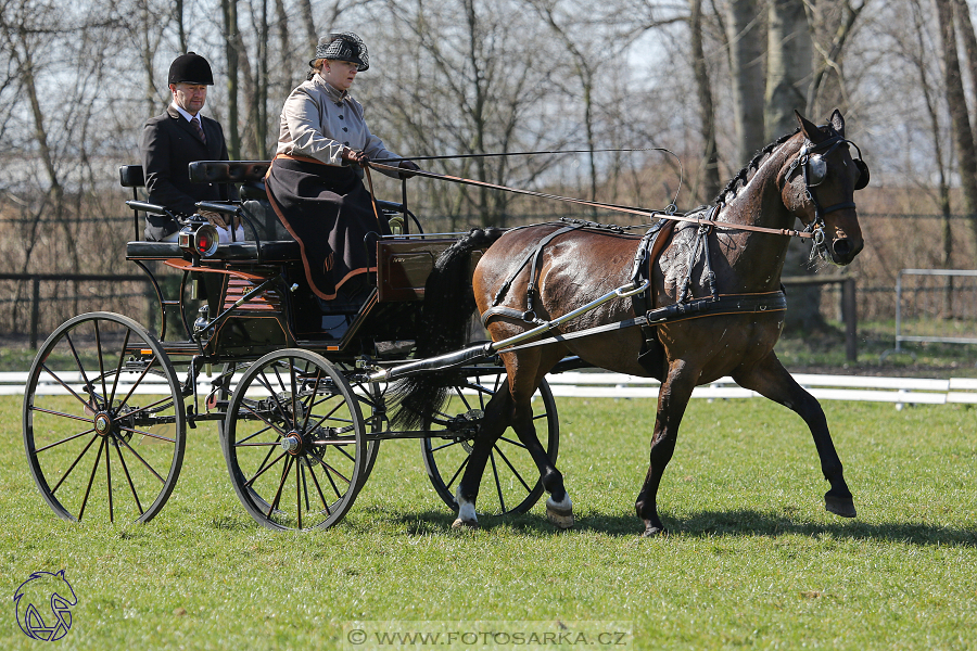 CAN 2* Pardubice - sobota