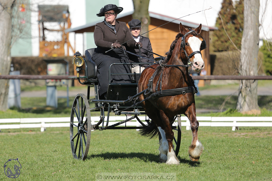 CAN 2* Pardubice - sobota