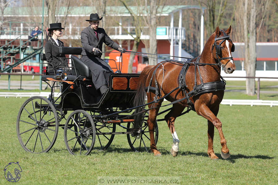 CAN 2* Pardubice - sobota