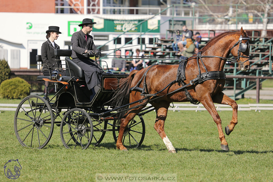 CAN 2* Pardubice - sobota