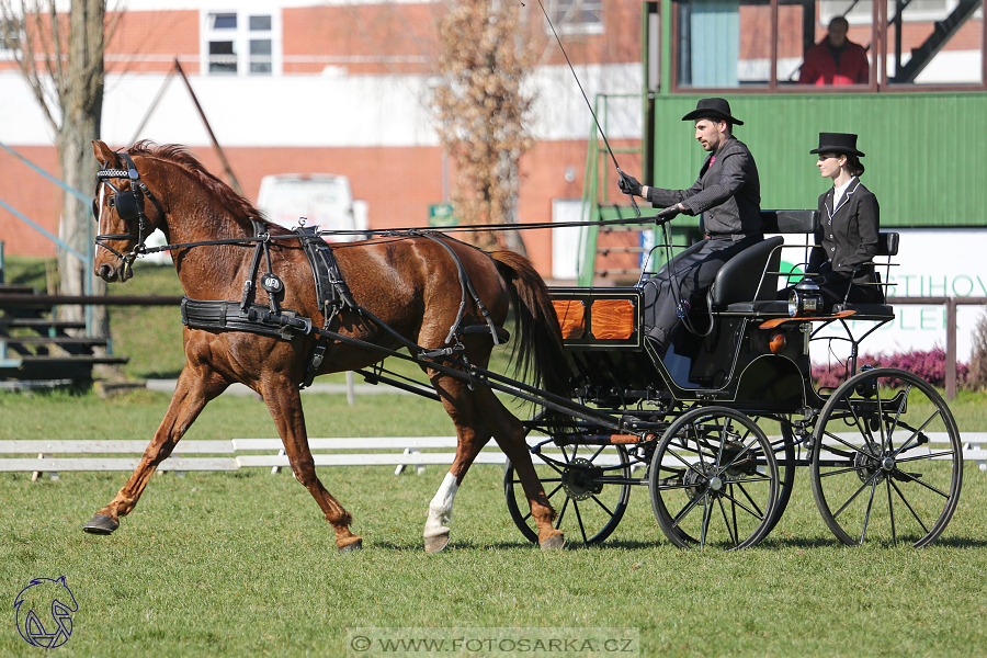 CAN 2* Pardubice - sobota