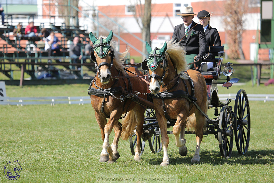 CAN 2* Pardubice - sobota