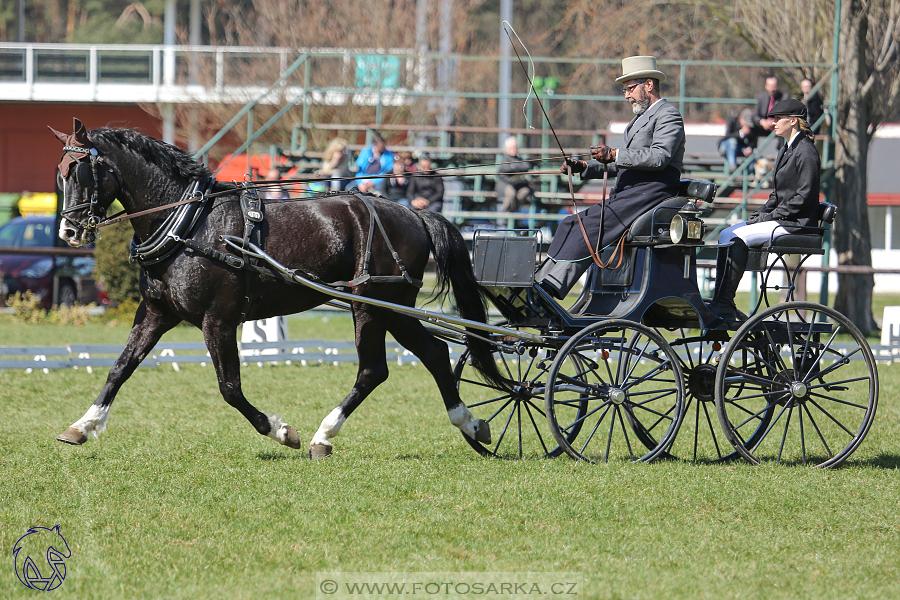 CAN 2* Pardubice - sobota