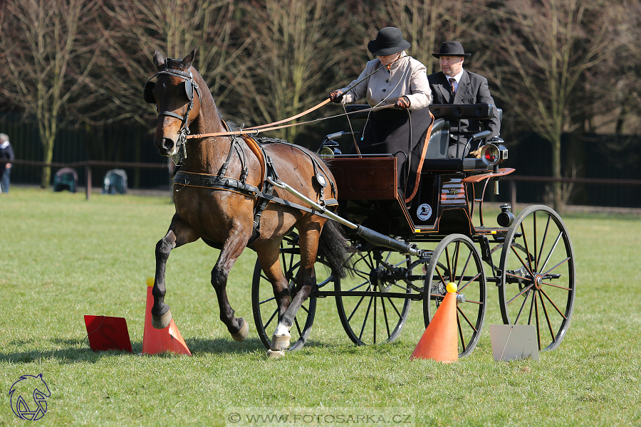 CAN 2* Pardubice - sobota