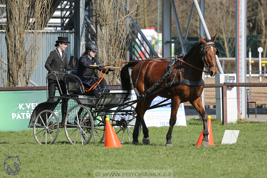 CAN 2* Pardubice - sobota