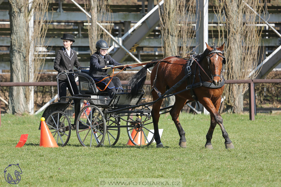 CAN 2* Pardubice - sobota