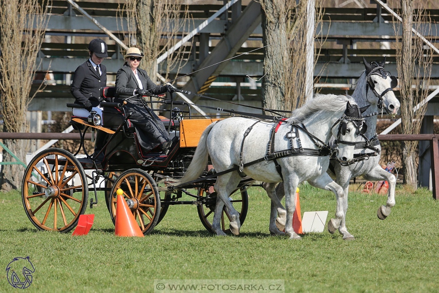 CAN 2* Pardubice - sobota