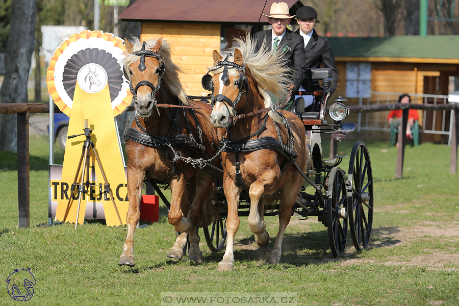 CAN 2* Pardubice - sobota