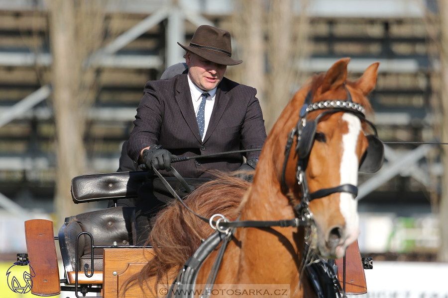 CAN 2* Pardubice - sobota