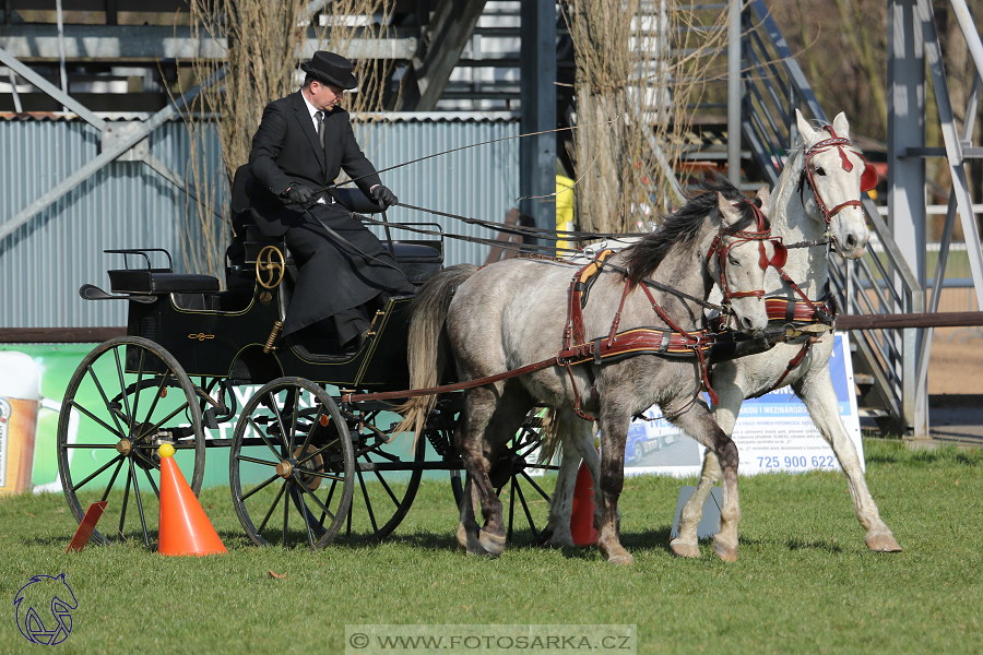 CAN 2* Pardubice - sobota