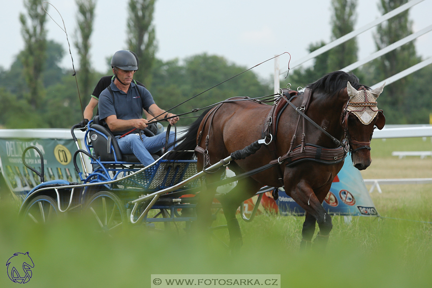 CAN Mimoň 2018 - neděle