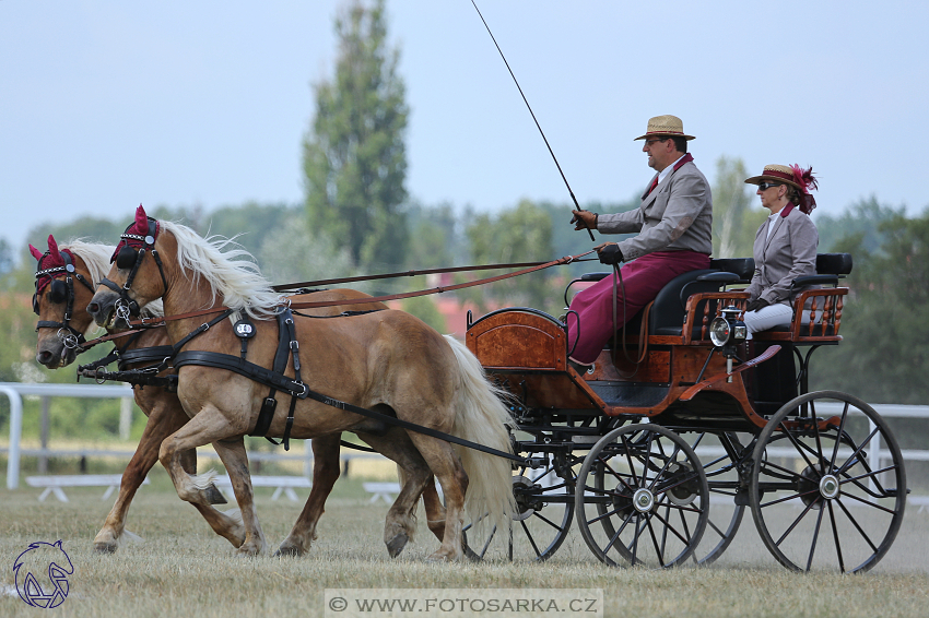 CAN Mimoň 2018 - sobota