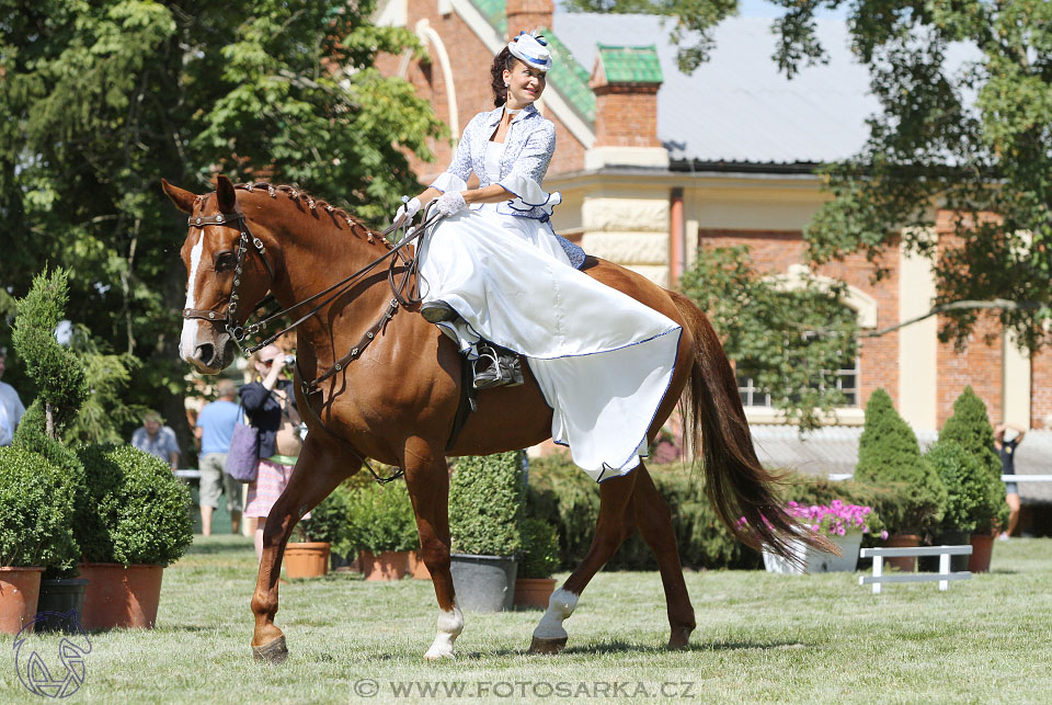 Chovatelský den ZH Písek