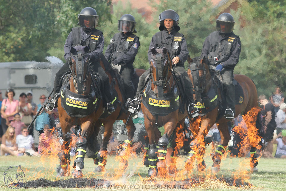 Chovatelský den ZH Písek